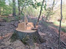 Rößling Nord 01 B. Rac