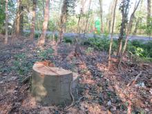 Rößling Nord 03 B. Rac