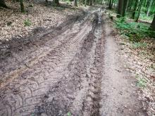 Wegeschaden fränkischer Marienweg