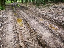 Wegeschaden fränkischer Marienweg
