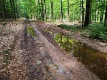 Wegeschaden fränkischer Marienweg