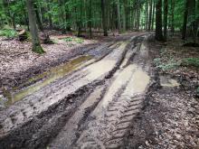 Wegeschaden fränkischer Marienweg