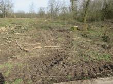 03_Rosenw. O-Seite B