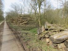 04_Rosenw. O-Seite B