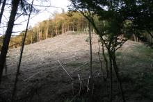 Hinter Teichanlage am Weg