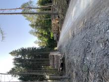 Betonschotter wird zu Mehl zermahlen und fliegt anschließend im gesamten Wald herum. Sehr gesund!