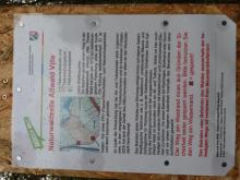 Abholzung Altwald Ville