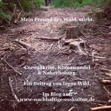 Artikel Waldsterben in Zeiten von Corona- u. Klimakrise