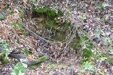 Einbrehende Dolinen ( Humusschwund durch Schlagbewirtschaftung)