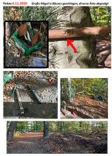 4.11.2020 Schäden Mountainbike Trail 2