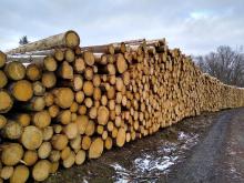 Holzstapel