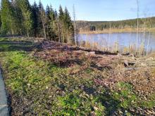 Kahlschlag am Talsperrenufer