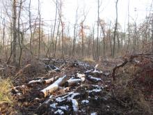 03_ Mosigk. Heide2  B. Rac, 2021