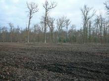 Per Ackerbau neue Forst-Versuchsfläche 3,5ha