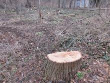 02_Georgengarten/Beckerbruch B. Rac 02/21