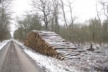 02_Rosenw. B. Rac 02/21