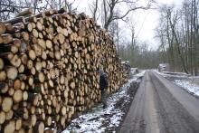 03_Rosenw. B. Rac 02/21