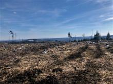 Das Hochplateau rechts des Weges wurde komplett abgeholzt.