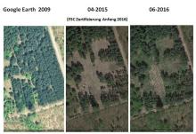 Bildmontage 1 Google Earth 2009-2015-2016