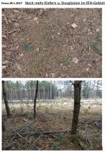 Bildmontage 5 Bodenverschlechterung