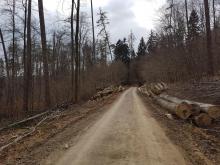 Hößlinswart - Rems-Murr-Kreis