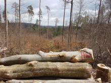 Hößlinswart - Rems-Murr-Kreis