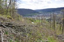 Blickrichtung von Wohngebiet Heide nach Oberkochen. 05.2021