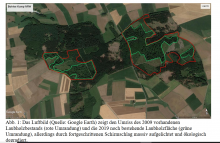 Auszug aus dem Bericht von Buchenwaldexperte Norbert Panek zu der Waldfläche