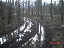 Rückegasse Marzoller Au