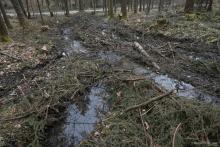 Verantwortlich für das Bild: Martin Scheuerl