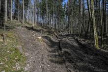 Verantwortlich für das Bild: Martin Scheuerl