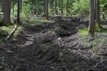 Verantwortlich für das Bild: Martin Scheuerl