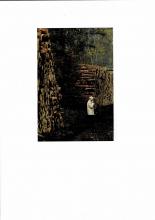 Metelen-Stromtrasse-frisst-Wald-2021.