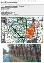 Karte VSG mit Einschlag am Altbaum-Waldrand im VSG