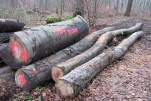 ...bereit für den Abtransport