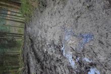 schlammige Fahrspur mit Ölverschmutzung