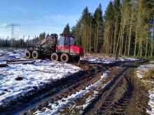 Harvester und Bodenschäden