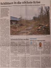 Veröffentlichung in der lokalen Presse, Volksstimme Schönebeck