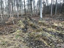 Tiefe Furchen in den Böden