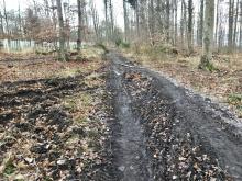 Wege seither extrem matschig / schlecht begehbar