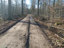 Fahrspuren und Wegeschäden ganzer Schwarzer Weg