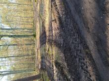 Breitere Fahrspuren als der Weg