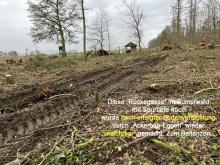 Bis 45cm tiefe Rückegasse...danach per Eggen entfernt