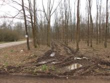 22_02_01 Wörlitz-Coswig