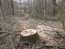 22_01 Wörlitz-Coswig