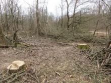 22_02 Wörlitz-Coswig