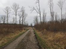 22_02_01 Kahlschläge