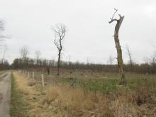 22_02_02 Kahlschläge