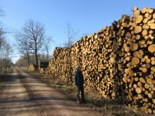 22_02_05 Wörlitz-Coswig