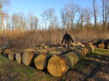 22_04 Wörlitz-Coswig